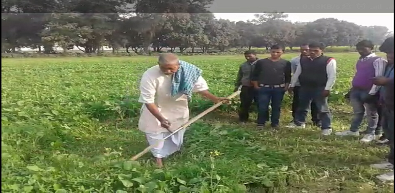 soil-test