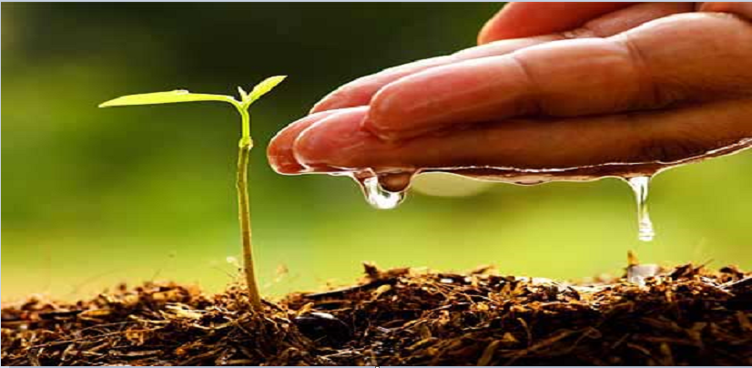 soil-test